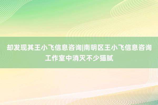 却发现其王小飞信息咨询|南明区王小飞信息咨询工作室中消灭不少猫腻